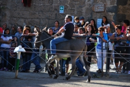 bagnoregio_DSC_7474.JPG