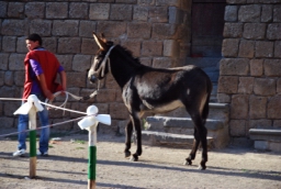 bagnoregio_DSC_7491.JPG
