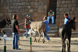 bagnoregio_DSC_7505.JPG