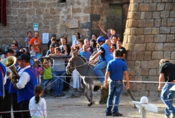 bagnoregio_DSC_7512.JPG