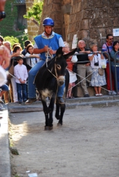 bagnoregio_DSC_7537.JPG