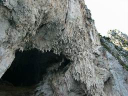 DSCF3130.JPG