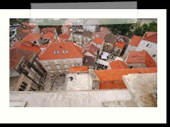 DSC_1937
