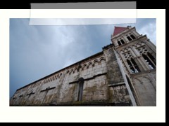 DSC_1981