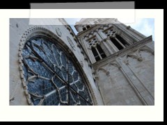 DSC_1992