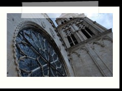 DSC_1993