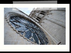 DSC_1995