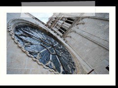 DSC_1996