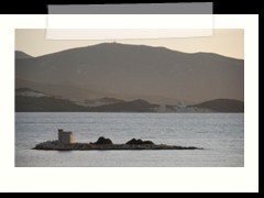 DSC_2650