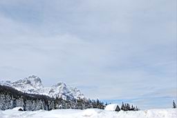 DSC_2682.JPG