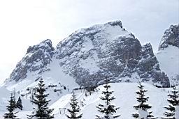 DSC_2684.JPG
