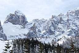 DSC_2685.JPG