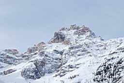 DSC_2693.JPG