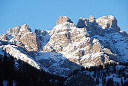 DSC_2980.JPG