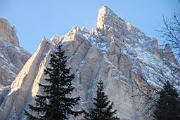 DSC_2993.JPG
