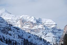 DSC_3025.JPG
