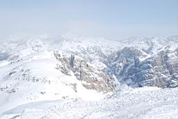 DSC_3031.JPG