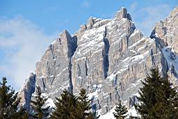 DSC_3095.JPG