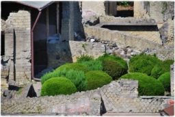 ercolano_DSC_1239.JPG
