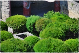ercolano_DSC_1245.JPG