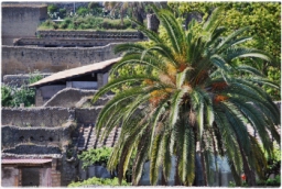 ercolano_DSC_1260.JPG