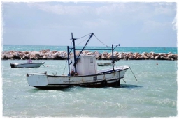 gargano_0903.JPG