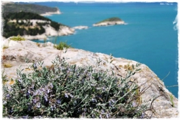 gargano_0947.JPG