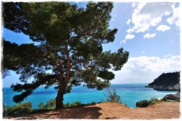 gargano_0962.JPG