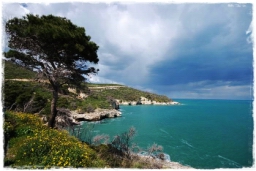 gargano_0967.JPG