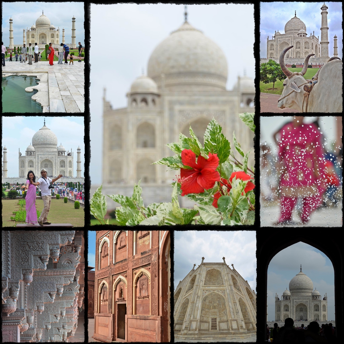 AGRA > RED FORT OF AGRA > TAJ MAHAL WHITE MARBLE MAUSOLEUM > DELHI