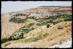 dead_sea_0470.JPG