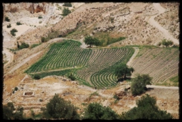 dead_sea_0476.JPG