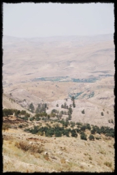 dead_sea_0478.JPG