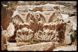 jerash_0114.JPG