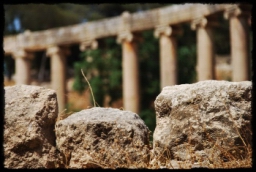 jerash_0125.JPG