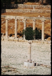 jerash_0165.JPG