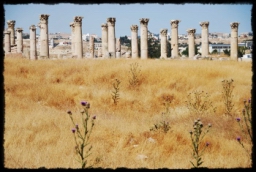 jerash_0213.JPG