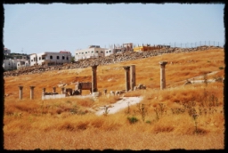 jerash_0215.JPG