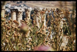 jerash_0227.JPG