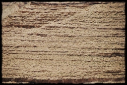 kerak_0596.JPG
