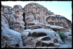 little_petra_0703.JPG