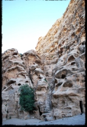 little_petra_0708.JPG