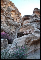 little_petra_0715.JPG