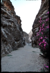 little_petra_0716.JPG