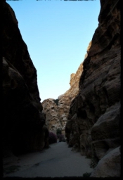 little_petra_0718.JPG