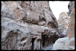 little_petra_0728.JPG