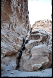 little_petra_0737.JPG