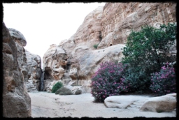 little_petra_0738.JPG