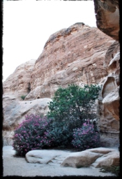 little_petra_0739.JPG