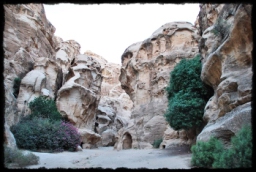 little_petra_0744.JPG